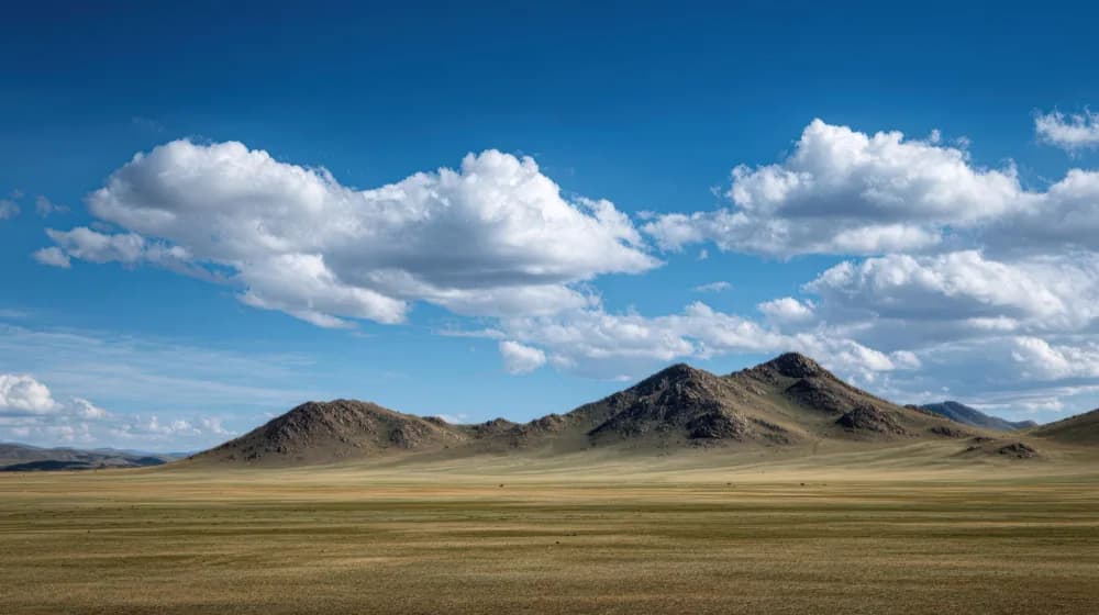 Sfeerbeeld bij beëdigde mongools (mongolië) vertalingen